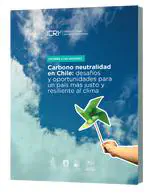 Informe a las naciones - Carbono neutralidad en Chile: desafíos y oportunidades para un país más justo y resiliente al clima